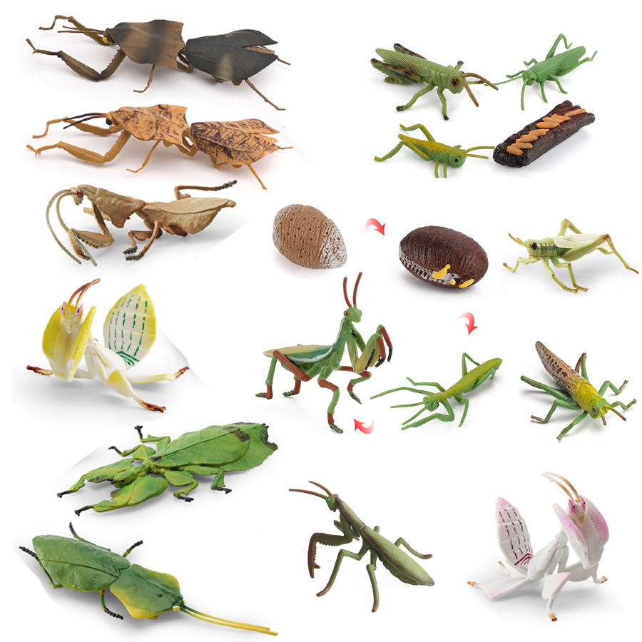 Kids Toys Home - リアルな蘭マントス、枯れ葉マントス、巨大葉昆虫、バッタモデルフィギュア、教育玩具、家の装飾、コレクションギフト
