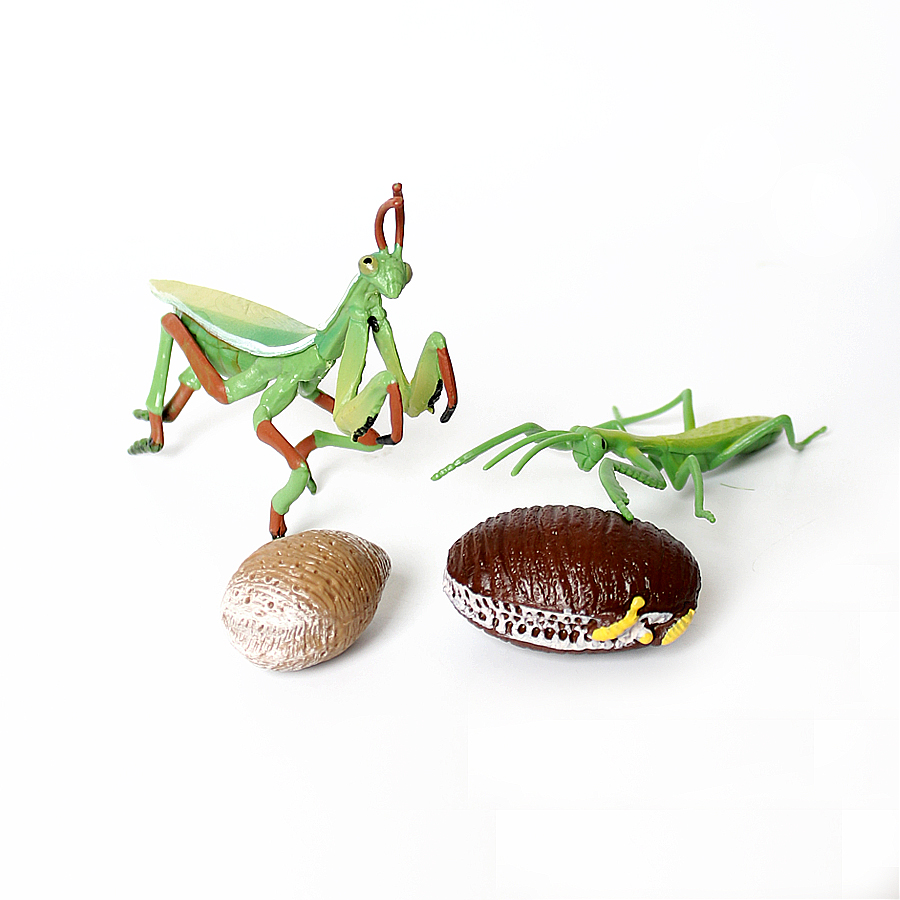 リアルな蘭マントス、枯れ葉マントス、巨大葉昆虫、バッタモデル - Kids Toys Home のレビューと価格